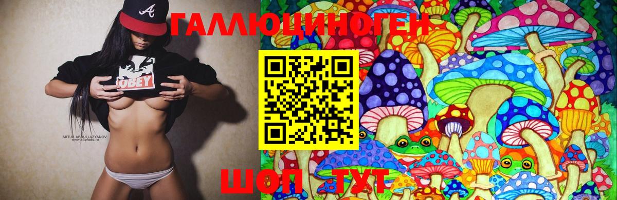 Псилоцибиновые грибы MAGIC MUSHROOMS Тутаев