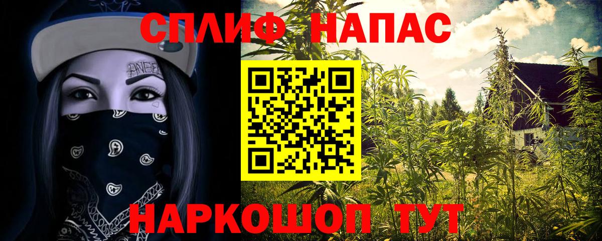 МАРИХУАНА ГИДРОПОН  Вход с VPN  Тутаев  Бошки марихуана план 